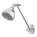 Phoenix Ivy Shower Arm & Rose - Chrome-YV5101-00-blue-leaf-bathware