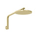 Phoenix Oxley High-Rise Shower Arm and Rose - Brushed Gold-610-5300-12-blue-leaf-bathware