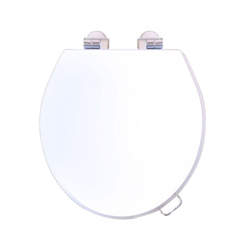 Turner Hastings Birmingham High Gloss White Soft Closing Toilet Seat-BI203WSC-blue-leaf-bathware