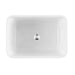 Turner Hastings COUNTER TOP Tribo 600mm Fireclay Sink-109900-blue-leaf-bathware